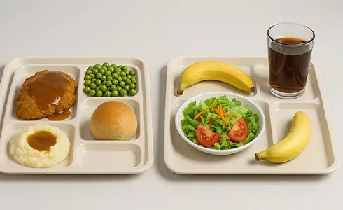 Compartment Trays